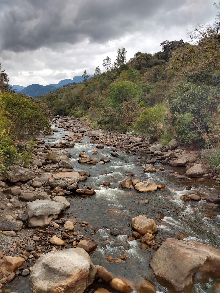 Estadero La Rivera-4